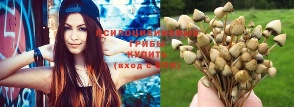 mix Абаза