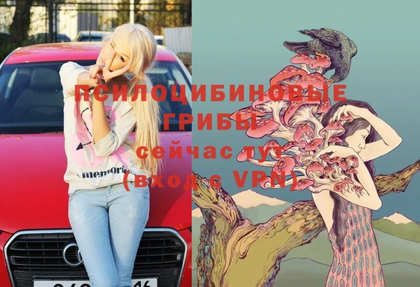 mix Абаза