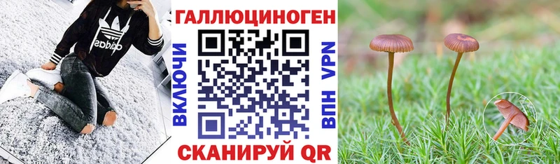 Псилоцибиновые грибы Cubensis  дарнет шоп  Новоуральск 