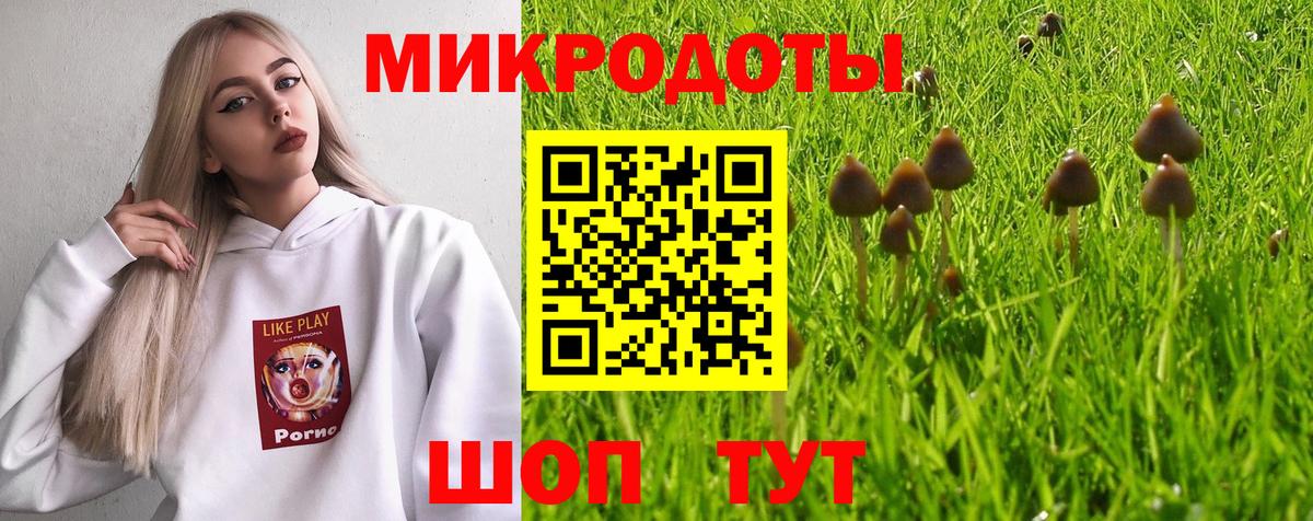 Псилоцибиновые грибы Psilocybe  Псилоцибиновые грибы ЛСД  Вход с VPN  Новоуральск 